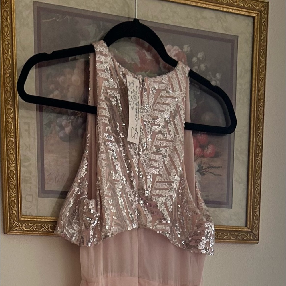 peach colored dress small silver sequin on the bodice.